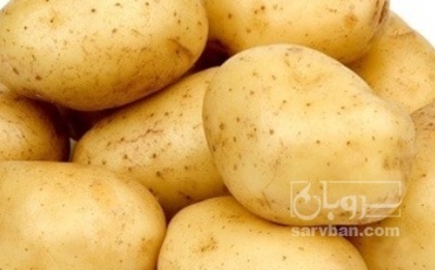 فروش سیب زمینی