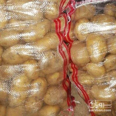 فروش سیب زمینی جلی