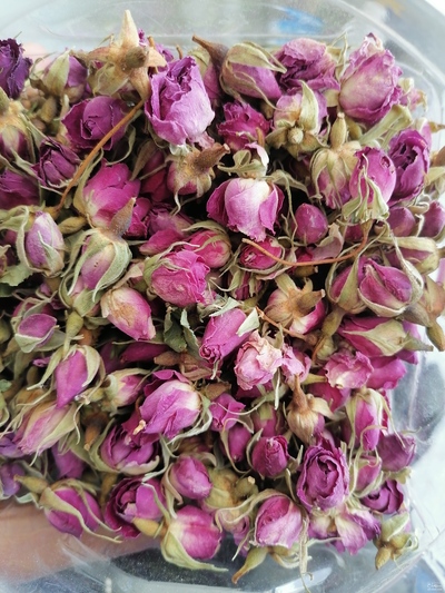 فروش گل محمدی