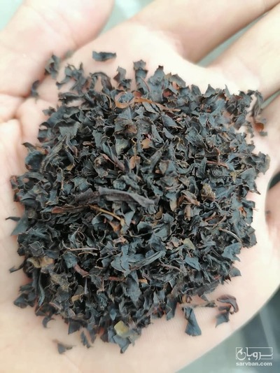 فروش چای شکسته لاهیجان