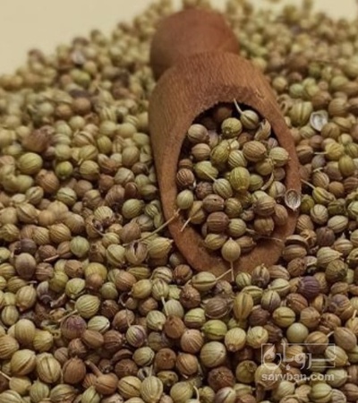 فروش تخم گشنیز (گیاه‌ دارویی)