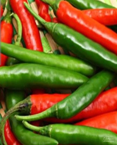 فروش فلفل تند قرمز سبز
