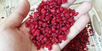 فروش زرشک پفکی