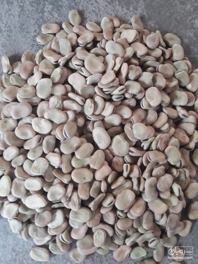 فروش باقلا خشک شده