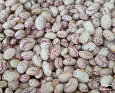  فروش لوبیا چیتی