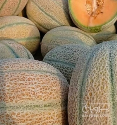 فروش طالبی جانا