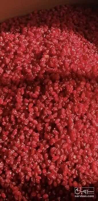 فروش زرشک پفکی صادراتی