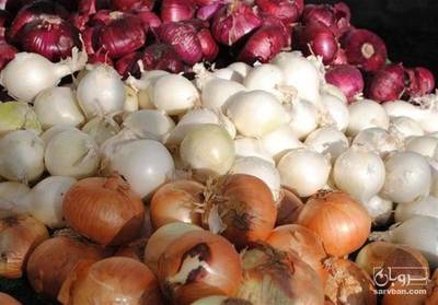 خرید پیاز