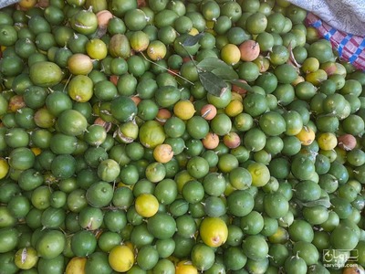 فروش لیموترش