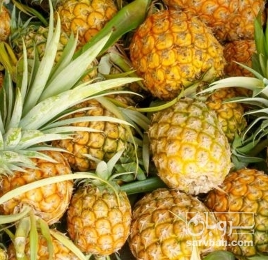 فروش آناناس
