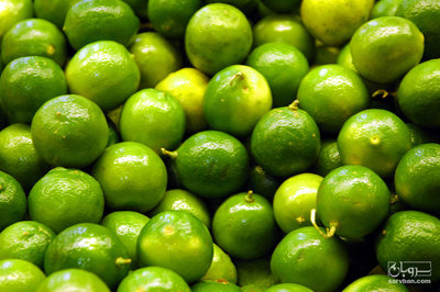 خرید لیموترش