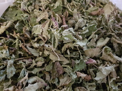 فروش بادرنجبویه