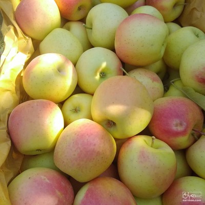 فروش سیب زرد