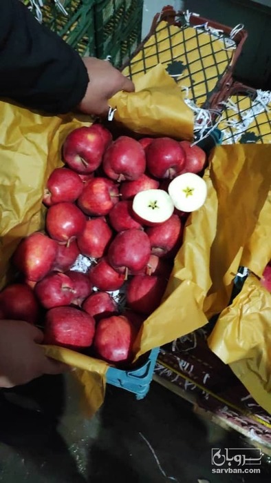 فروش سیب قرمز