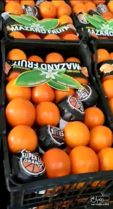 فروش تامسون