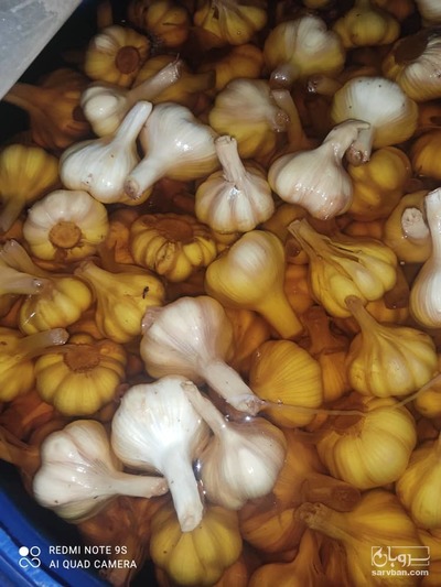 فروش سیر ترشی