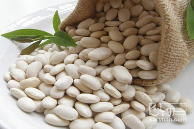 خرید لوبیا سفید