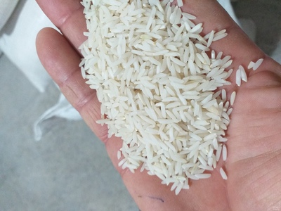 فروش برنج