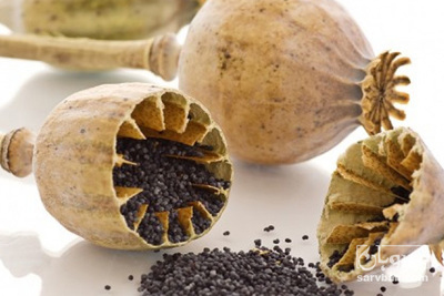 خرید سیاهدانه