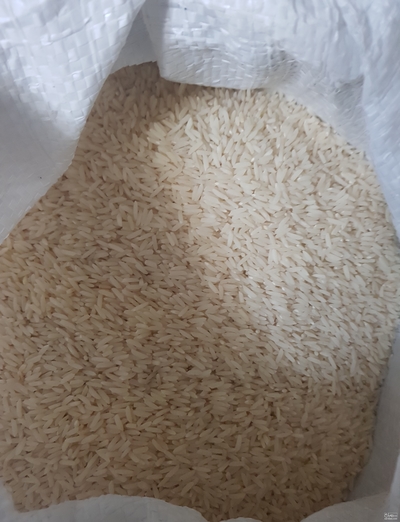  فروش برنج