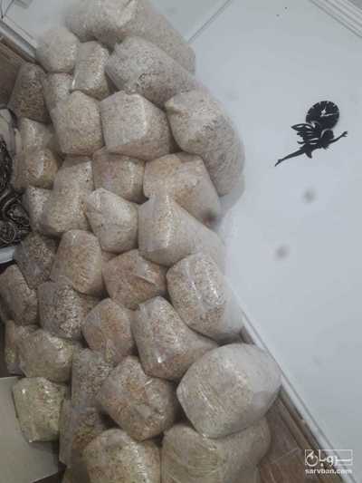 فروش پیاز خشک