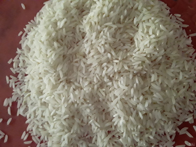  فروش برنج هاشمی