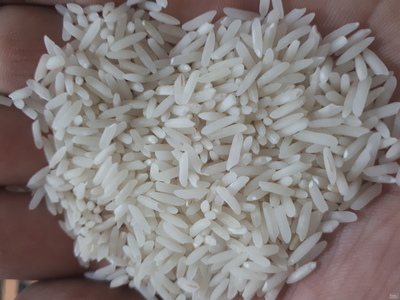 فروش برنج طارم