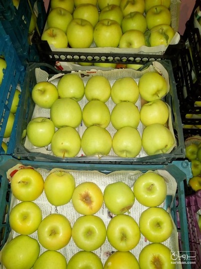 فروش سیب