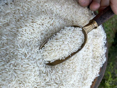 فروش برنج شمال