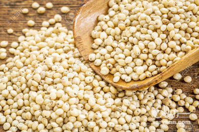 خرید سورگوم