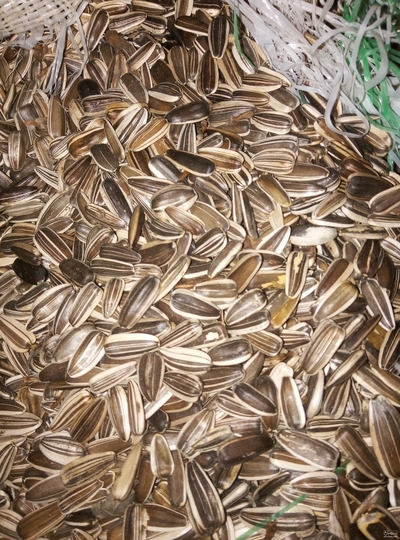 فروش [object Object]