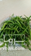 فروش فلفل سبز سوزنی