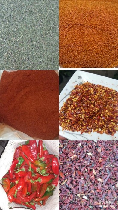 فروش پودر فلفل