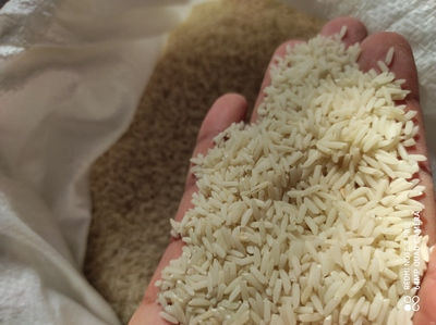 فروش برنج