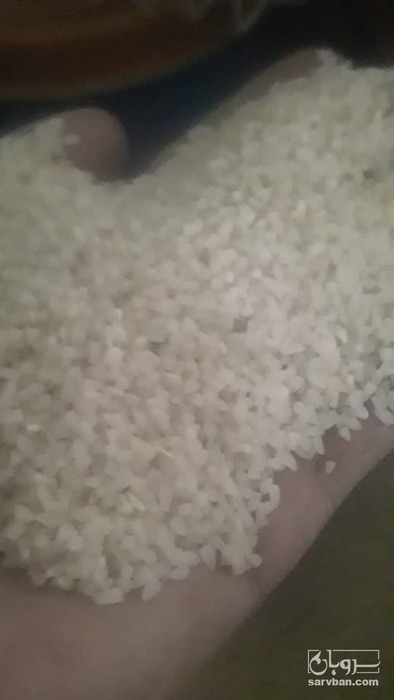 فروش برنج نیم دانه