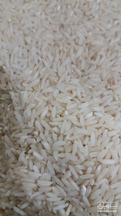 فروش برنج کشت دوم