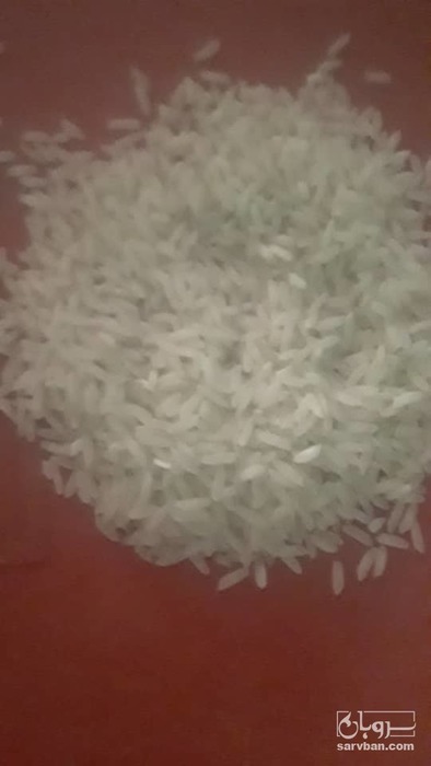 فروش برنج طارم کشت اول