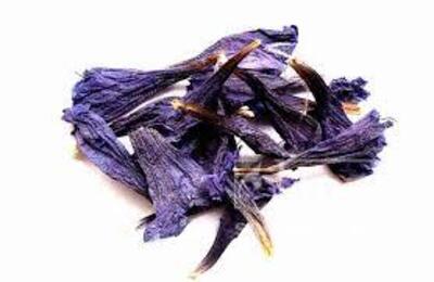 فروش گل گاو زبان - گاوزبان (گیاه‌ دارویی)