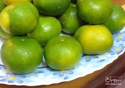 فروش نارنگی