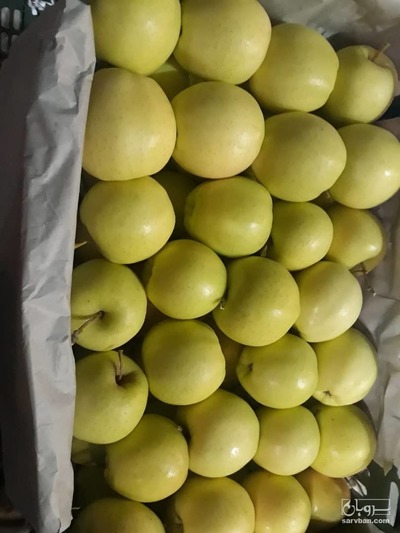  فروش سیب زردوسرخ پادنای سمیرم