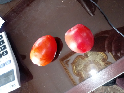  خرید گوجه فرنگی