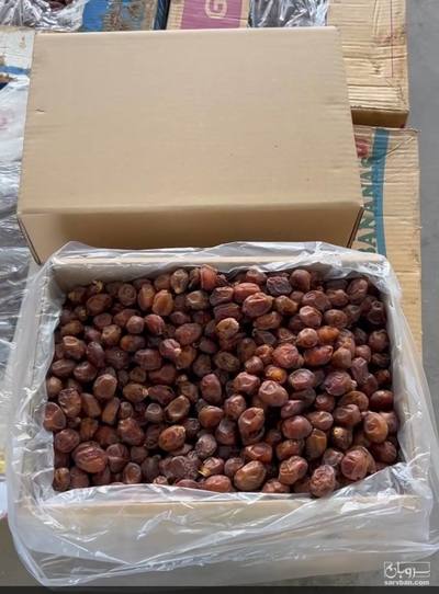 فروش خرما خاصویی