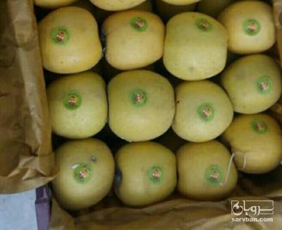 فروش سیب زرد