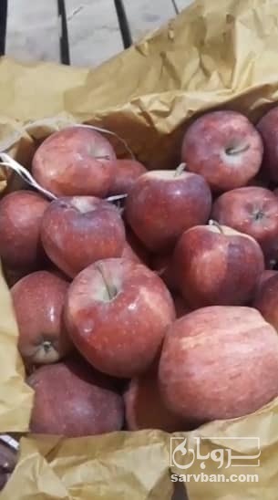 فروش سیب قرمز