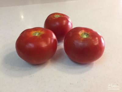 فروش گوجه فرنگی 2