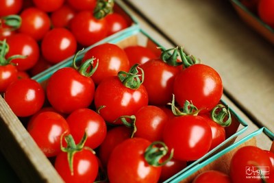 خرید گوجه فرنگی