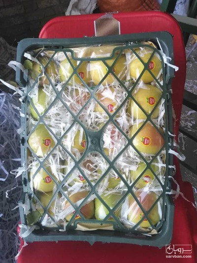 فروش سیب زرد لبنان