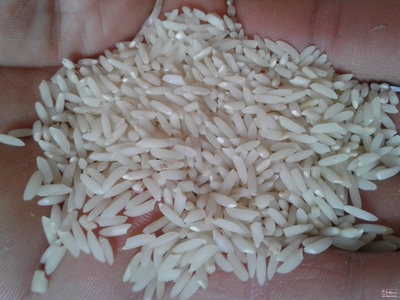 فروش برنج