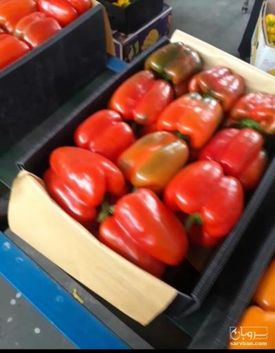 فروش فلفل دلمه رنگی