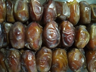 فروش خرما بردی بال